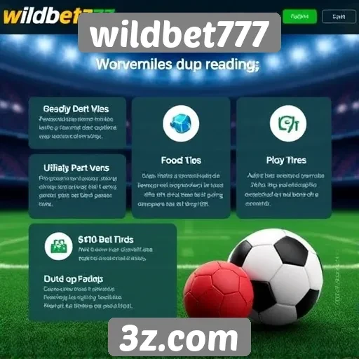Avaliação das funcionalidades do site wildbet777